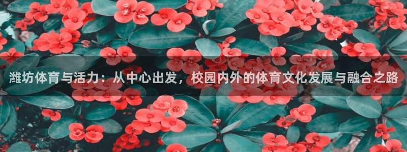 尊龙官方正版app集团官网网址:潍坊体育与活力:从中心出发,