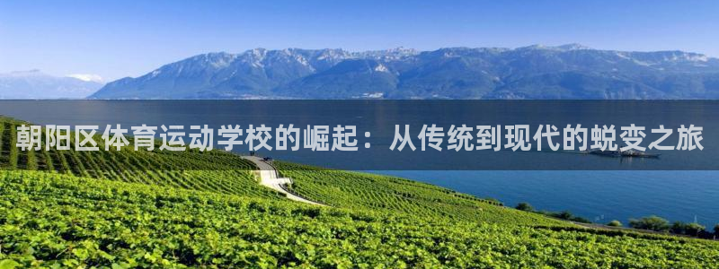 尊龙官网下载招商:朝阳区体育运动学校的崛起:从传统到现代的蜕
