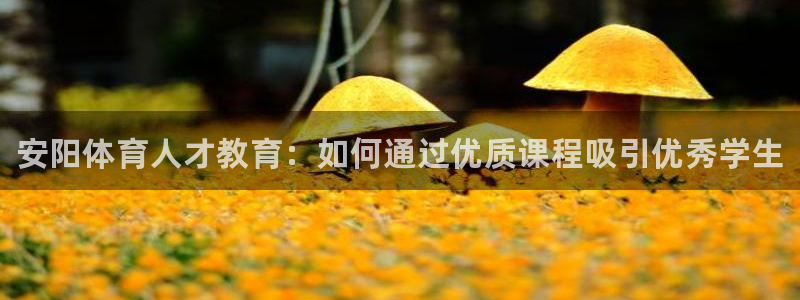 尊龙官方正版app集团官网首页:安阳体育人才教育:如何通过优