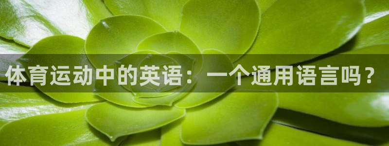 尊龙官网下载平台假的吗是真的吗吗:体育运动中的英语:一个通用