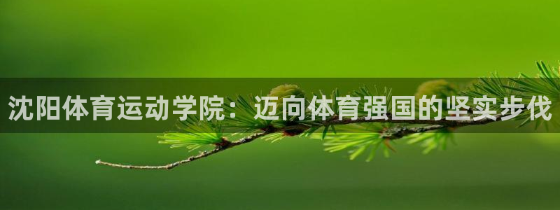 尊龙官方正版app娱乐代理怎么样:沈阳体育运动学院:迈向体育